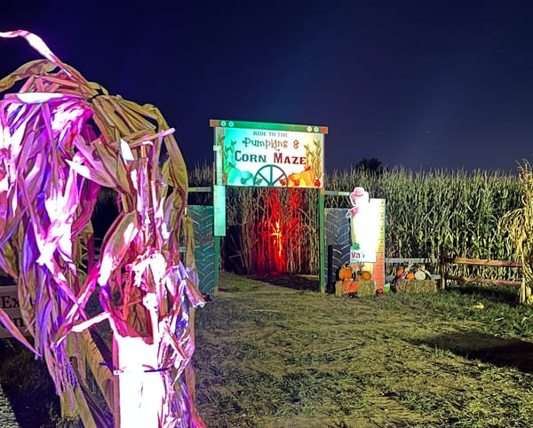 Fall Fest Glow Maze at Valley Fruits & Veggies: A Halloween Adventure Without the Scares